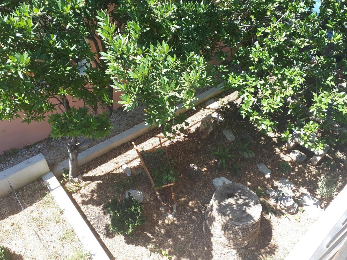 Apartman Emilio Baška Voda Εξωτερικό φωτογραφία